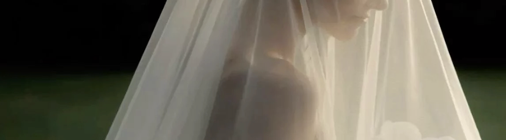Bride beneath her veil in soft black and white light