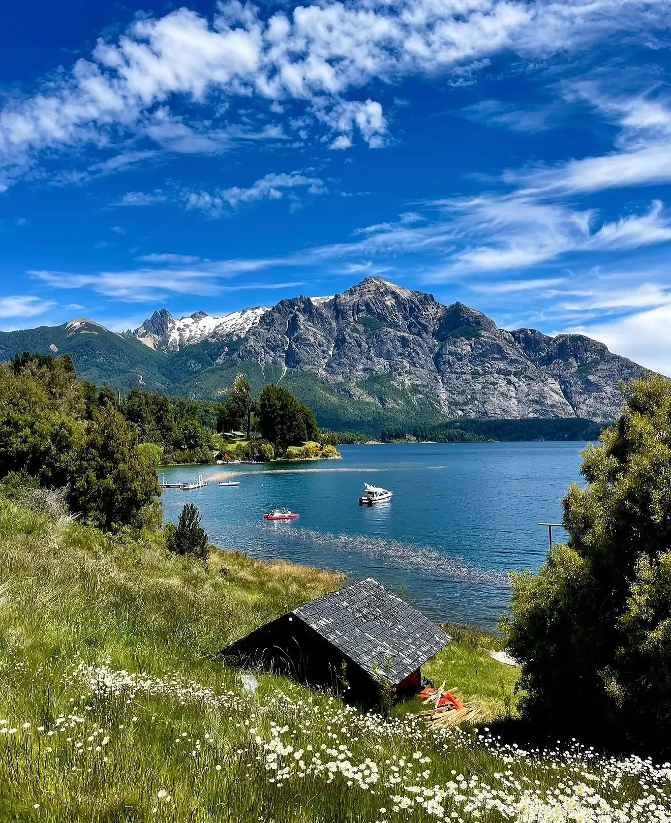 Wildflowers above a mountain lake in Patagonia