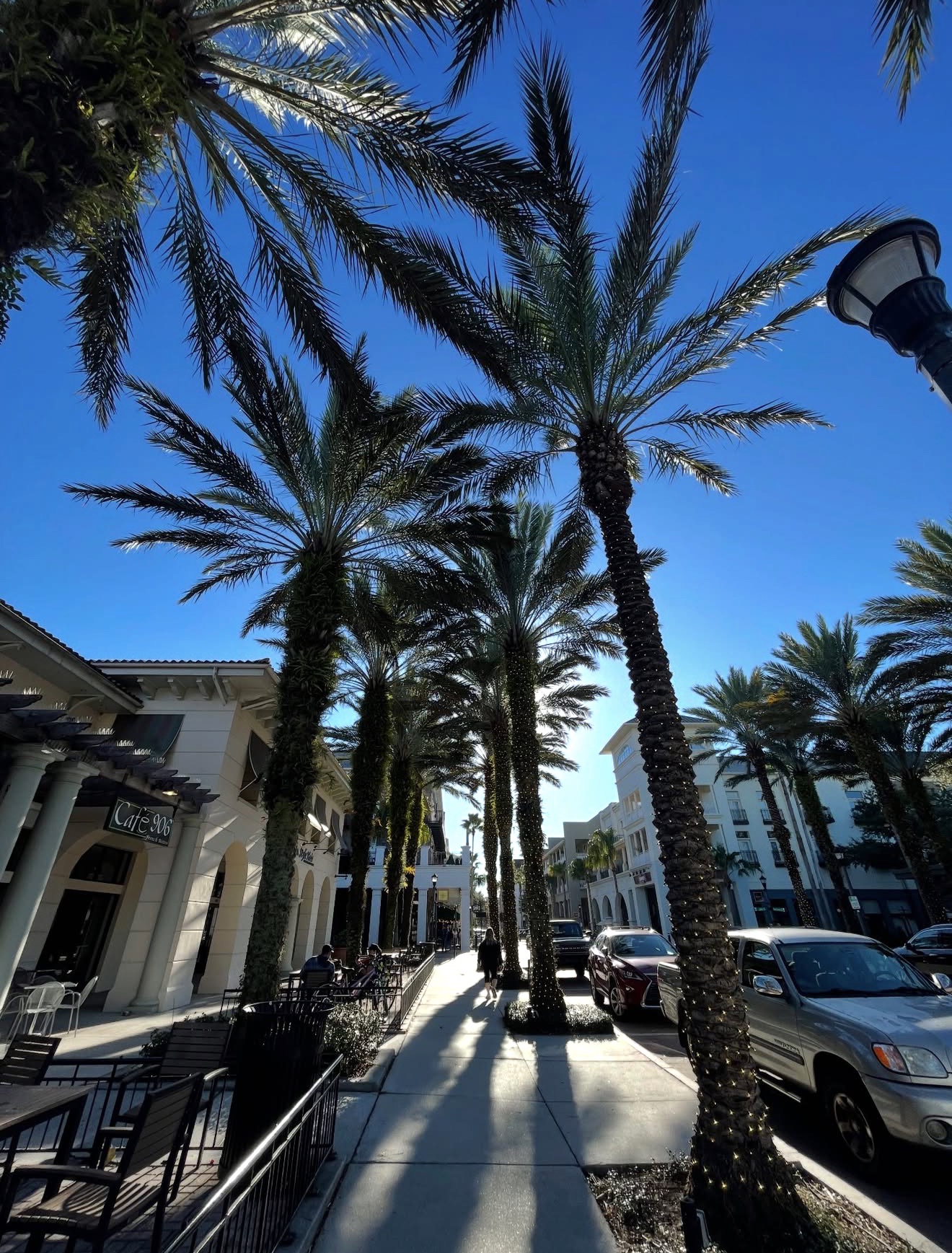 Palm-lined street under a bright blue sky